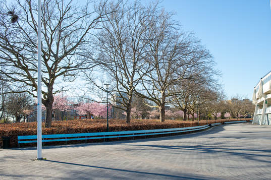 Bänk utanför Malmö Stadion