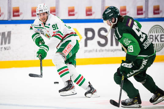 Rögles Adam Tambellini