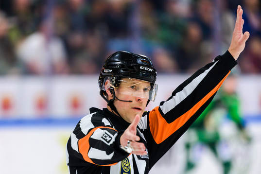Domare Tobias Björk