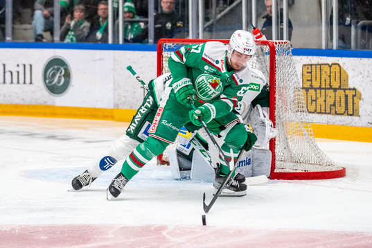 Rögles Leon Bristedt