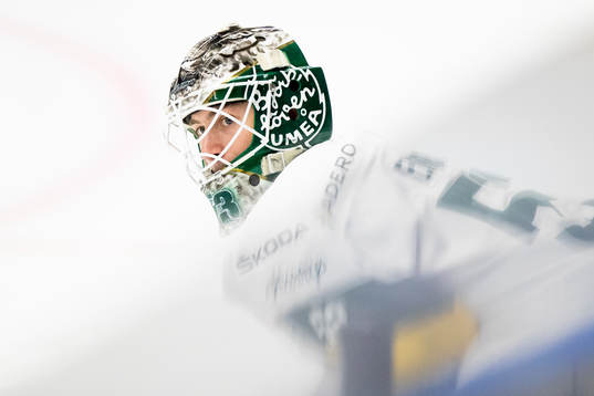 Björklövens målvakt Claes Endre