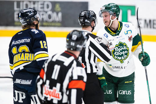 s Hunter Shinkaruk och Björklövens Jesper Lindgren utvisas
