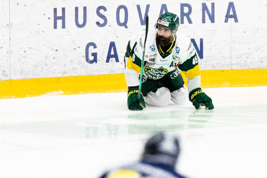 Björklövens Daniel Rahimi
