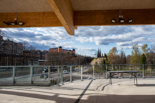 Uppsala slott och Domkyrkan sedd från Studenternas