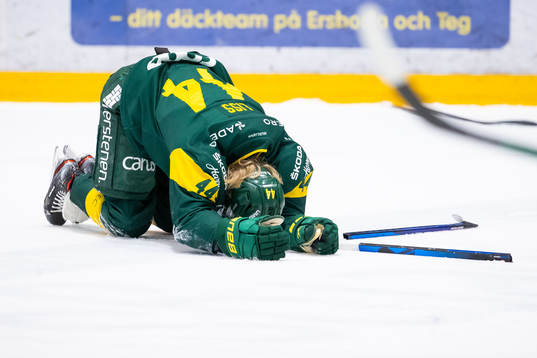 Björklövens Olle Liss deppar