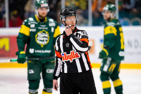 Domare André Hiljanen