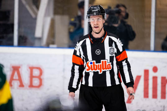 Domare André Hiljanen