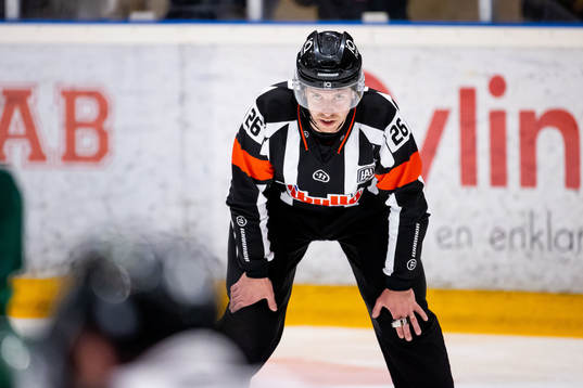 Domare André Hiljanen