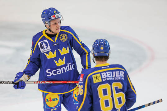 Sebastian Hartmann and Mathias Brome of Sweden