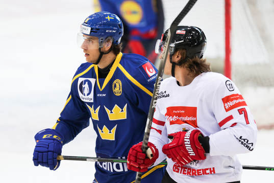 Filip Roos of Sweden and Brian Lebler of Austria