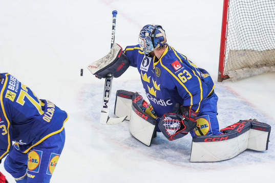 Goalkeeper Marcus Högberg of Sweden