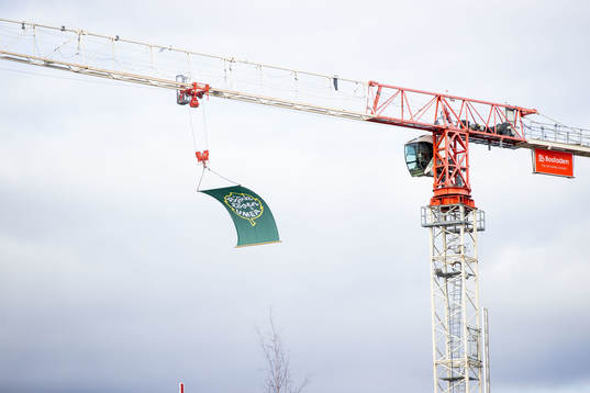 Björklövens flagga
