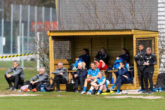 Halmstads bänk