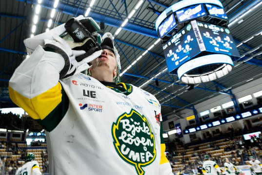 Björklövens målvakt Claes Endre