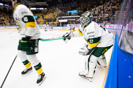 Björklövens målvakt Claes Endre