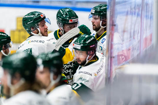 Björklöven jublar