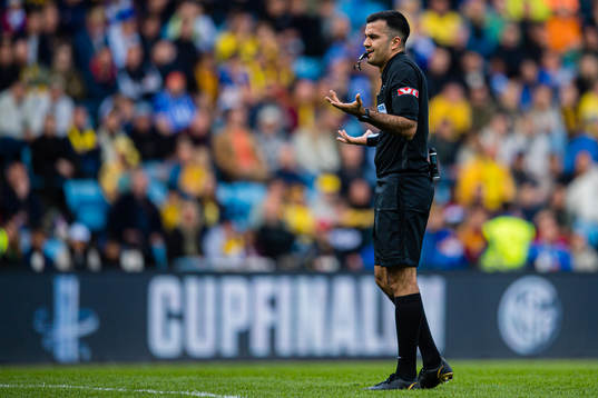 Rohit Saggi, referee