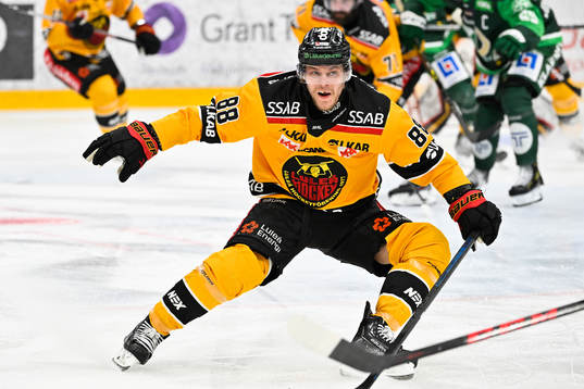 Luleås Joonas Rask
