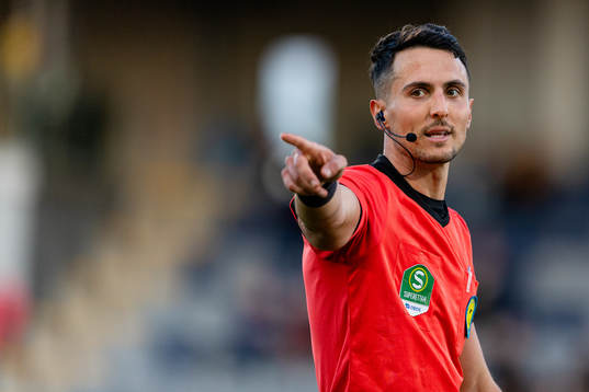 Domare Adi Aganovic