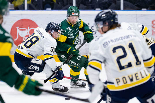 s Nichlas Torp och Björklövens Gerry Fitzgerald