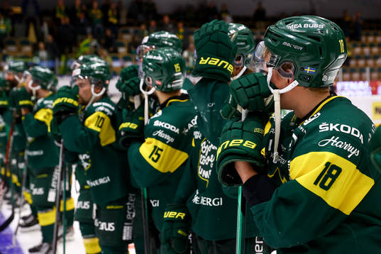 Björklövens spelare deppar