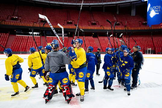 Players of the Swedish national ice hockey team
