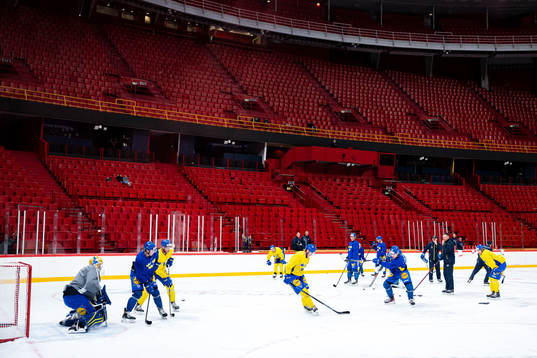 Players of the Swedish national ice hockey team