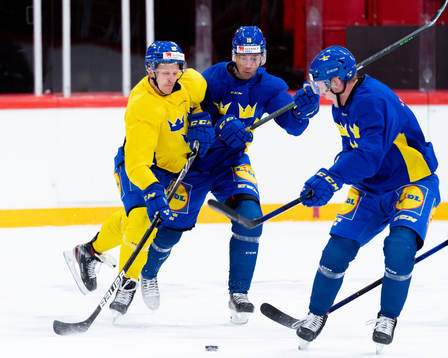 Max Friberg and Filip Roos of the Swedish national ice