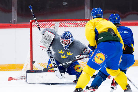 Goalkeeper Marcus Högberg of the Swedish national ice