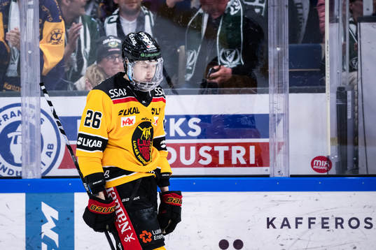 Luleås Radek Muzik deppar