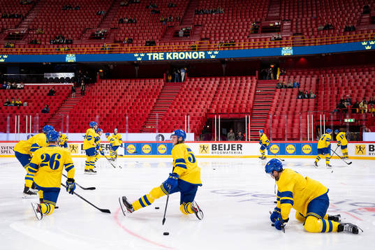 Players of Sweden