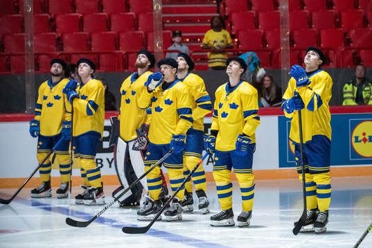 Players of Sweden