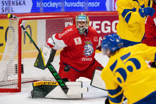 Goalkeeper Marek Langhammer of Czech Republic