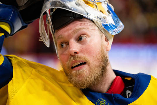 Goalkeeper Magnus Hellberg of Sweden