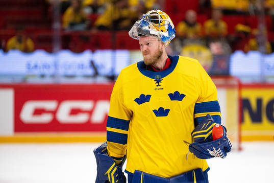 Goalkeeper Magnus Hellberg of Sweden  looks dejected