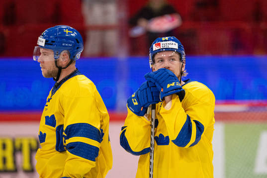 Christian Folin and Anton Lindholm of Sweden  look dejected