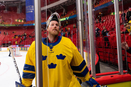 Goalkeeper Magnus Hellberg of Sweden