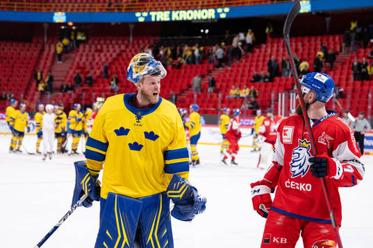 Goalkeeper Magnus Hellberg of Sweden
