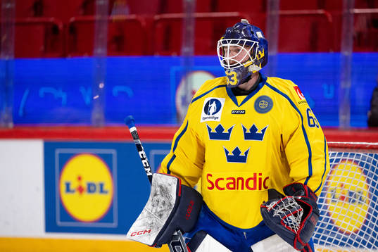 Goalkeeper Marcus Högberg of Sweden