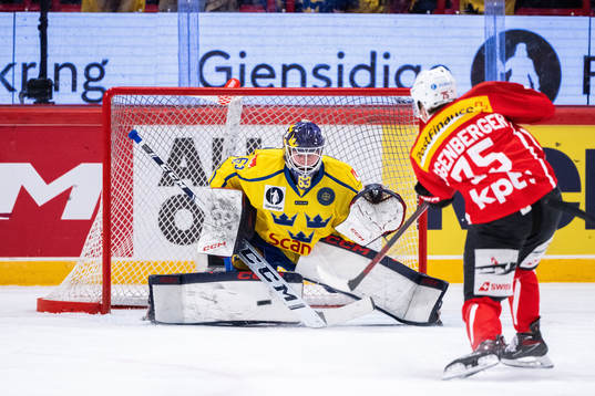 Goalkeeper Marcus Högberg of Sweden and Nando Eggenberger