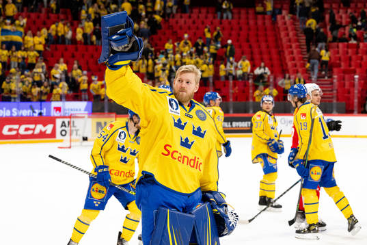Goalkeeper Magnus Hellberg of Sweden celebrates