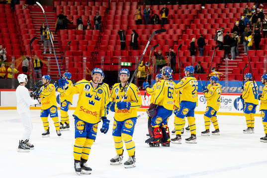 Joakim Nordström and Christian Folin of Sweden celebrate