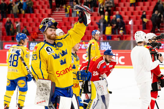 Goalkeeper Marcus Högberg of Sweden celebrates