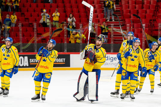 Goalkeeper Marcus Högberg of Sweden celebrates