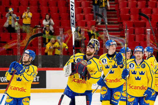 Goalkeeper Marcus Högberg of Sweden celebrates