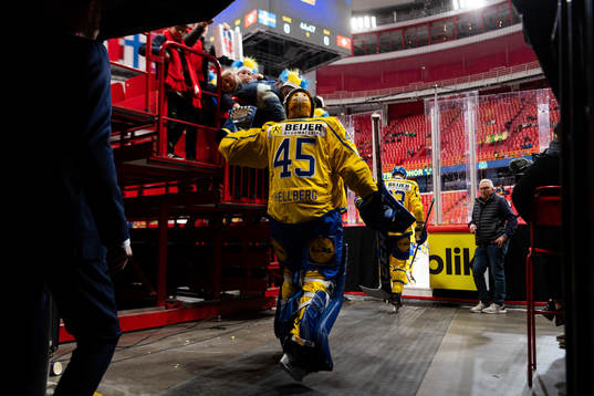 Goalkeeper Magnus Hellberg of Sweden