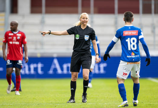 Domare Tess Olofsson