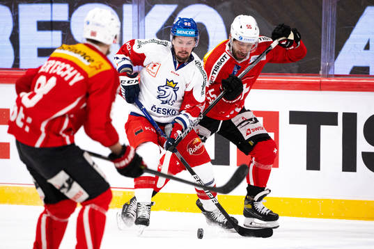 Petr Holik of Czech Republic and Romain Loeffel of
