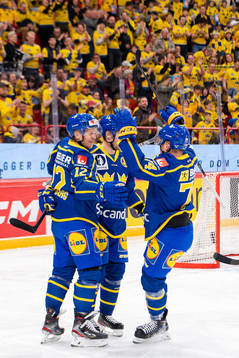 Max Friberg of Sweden celebrates the 1-0 goal