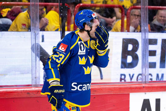 Oliver Ekman-Larsson of Sweden in pain